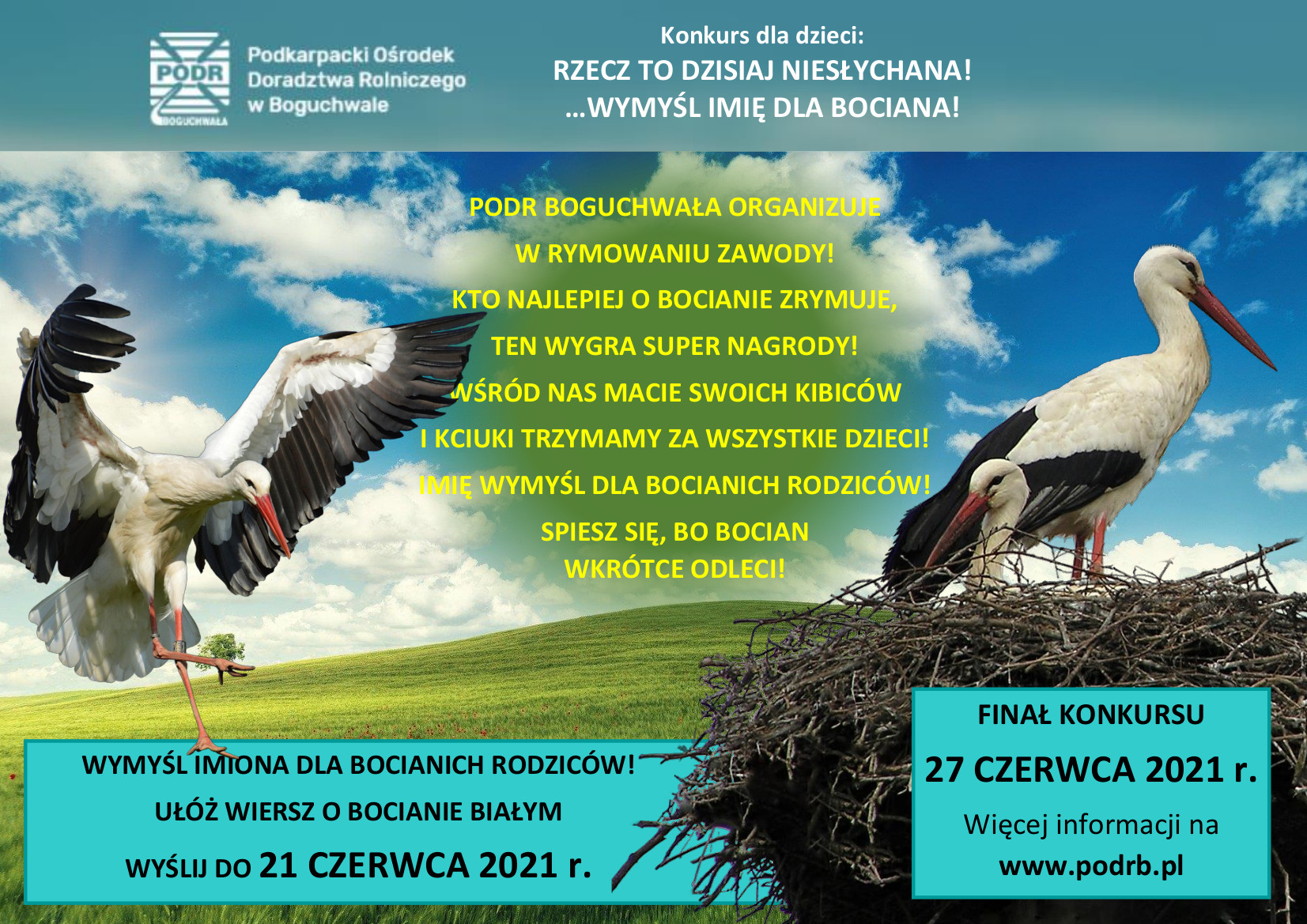 Rzecz to dzisiaj niesłychana!…wymyśl imię dla bociana!